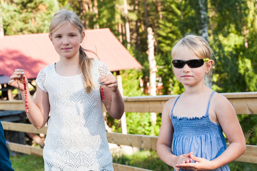 Dalarna-9527 Dalarna-9527