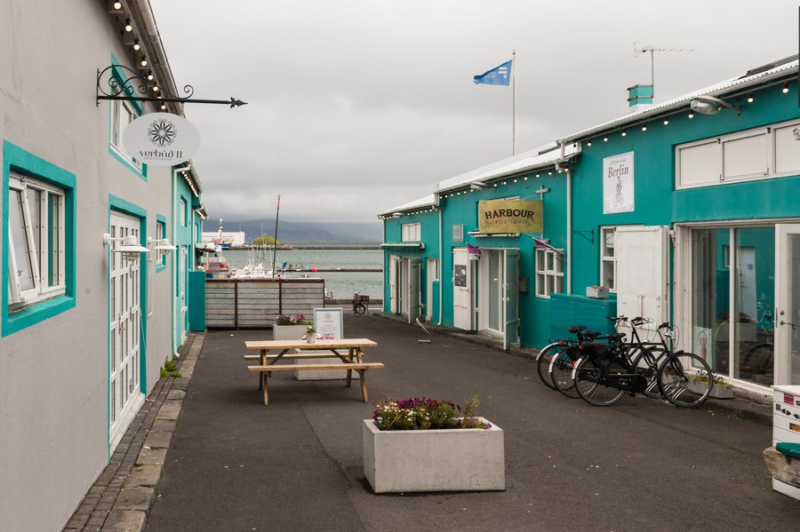 Reykjavik_2580 Reykjavik_2580
