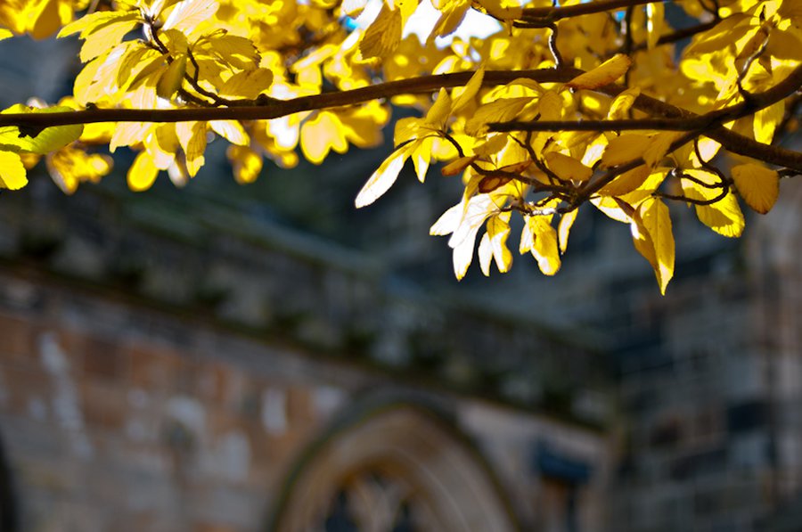 DSC_5866 DSC_5866