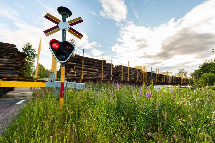 Dalarna-9623 Dalarna-9623