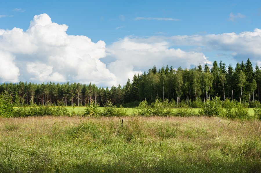 Dalarna-9425 Dalarna-9425