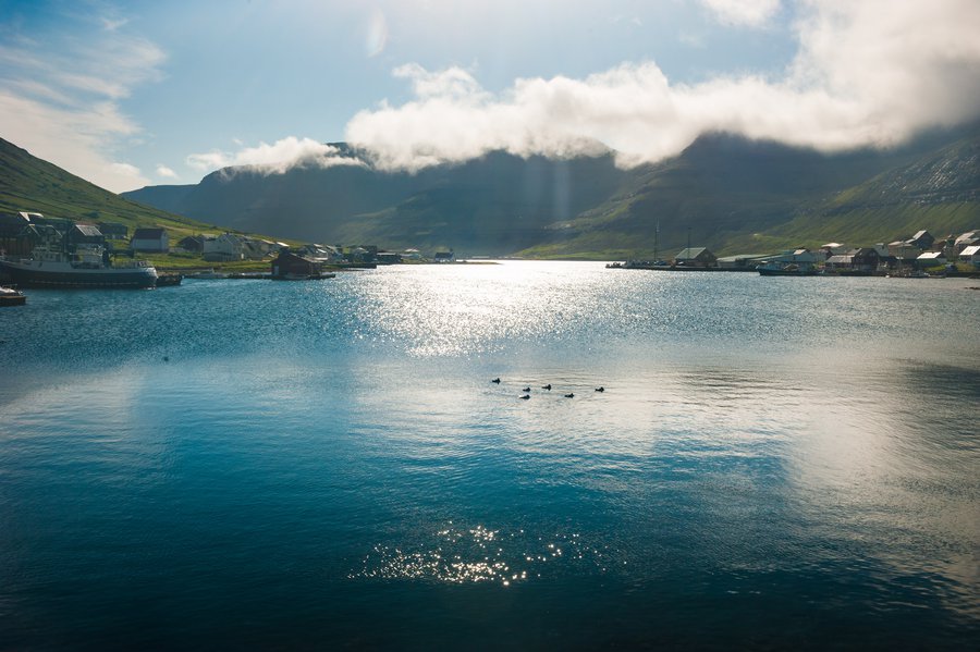 FaroeIsland2015_1810 FaroeIsland2015_1810