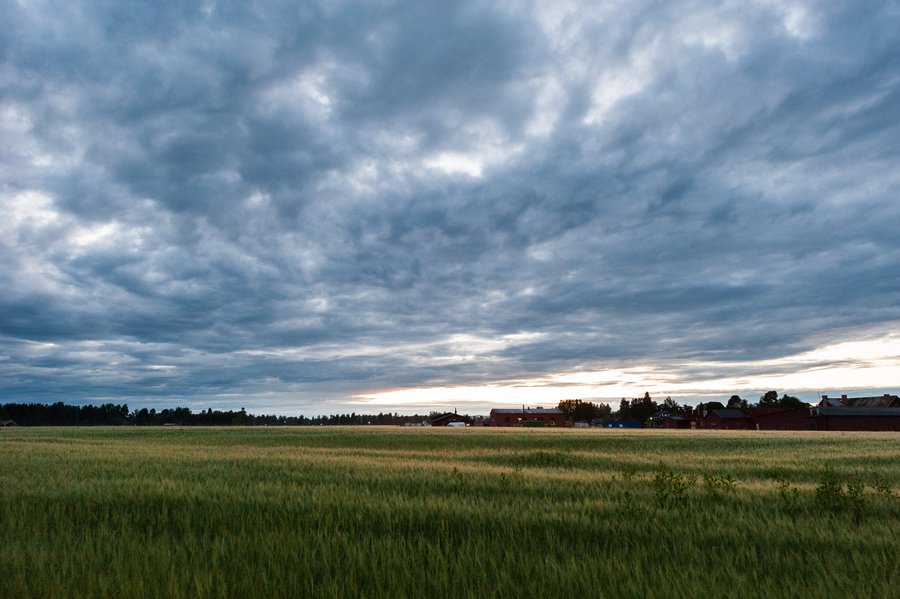 Dalarna-9859 Dalarna-9859