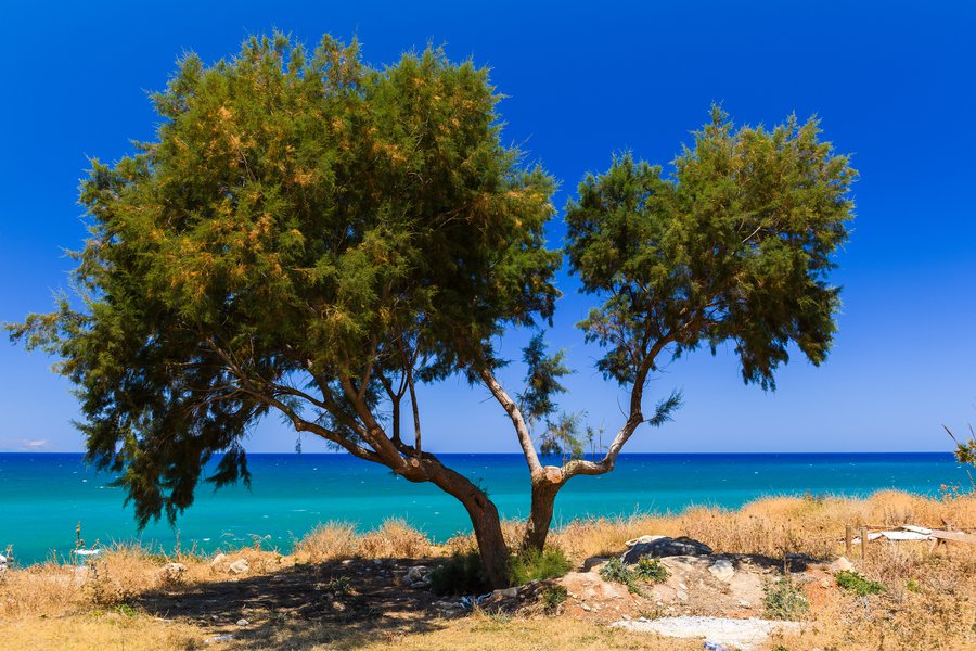 Greece2016-7264 Greece2016-7264