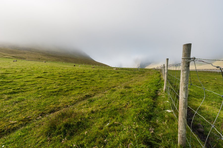 FaroeIsland2015_1663 FaroeIsland2015_1663