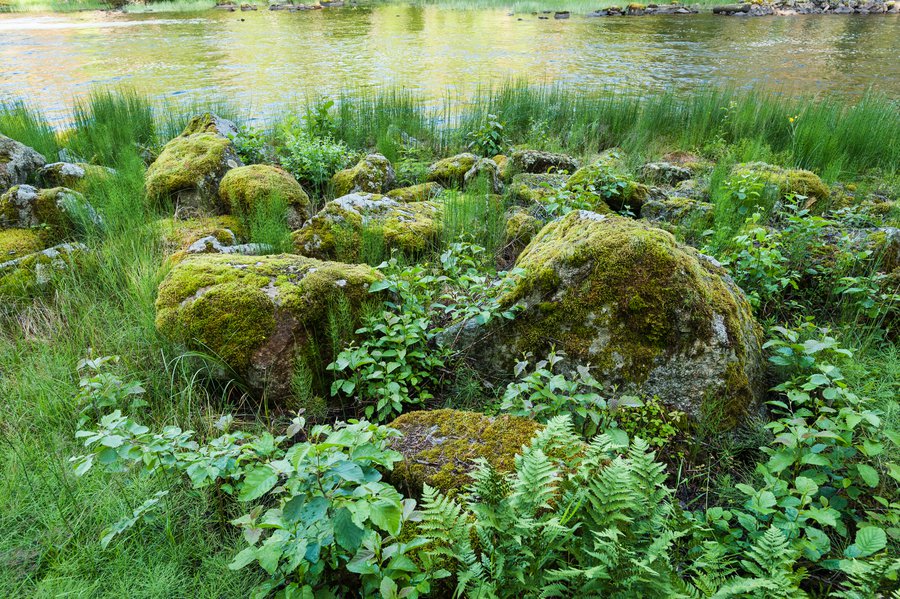 Dalarna-9515 Dalarna-9515