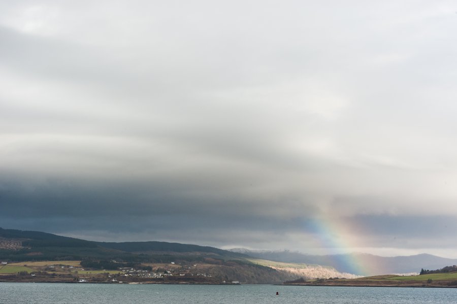 DSC_2409 DSC_2409