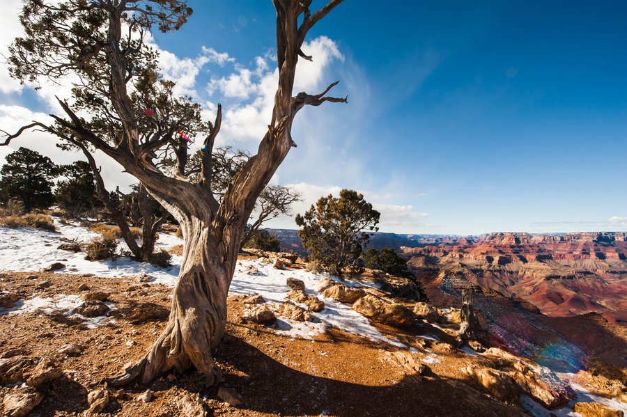 Grand Canyon_3995 Grand Canyon_3995