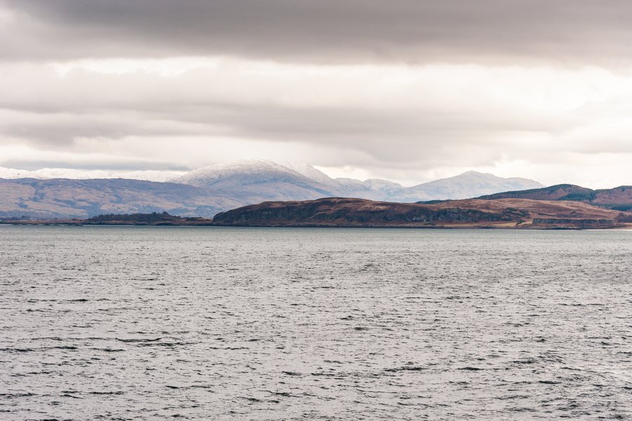 DSC_2358 DSC_2358