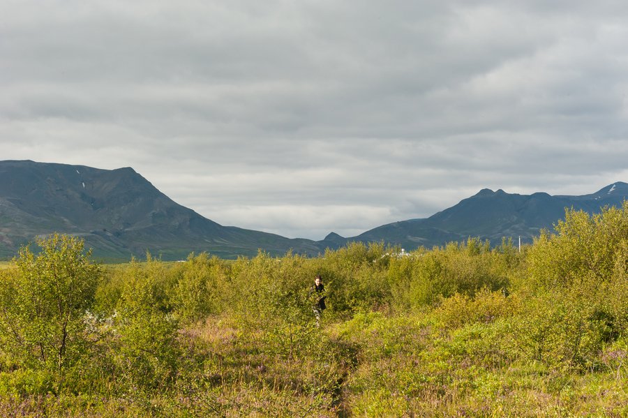 Iceland 2015_8129 Iceland 2015_8129