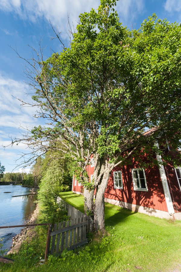 Dalarna-9484 Dalarna-9484