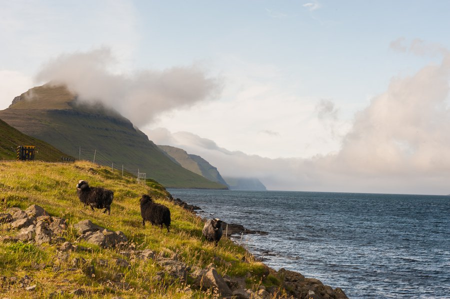 FaroeIsland2015_2101 FaroeIsland2015_2101