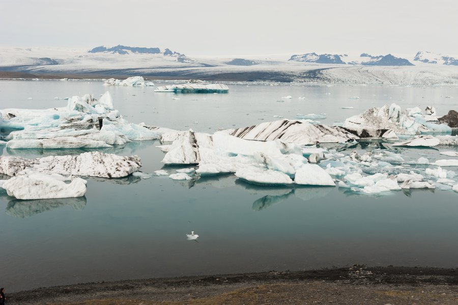 GlacierHike_9074 GlacierHike_9074