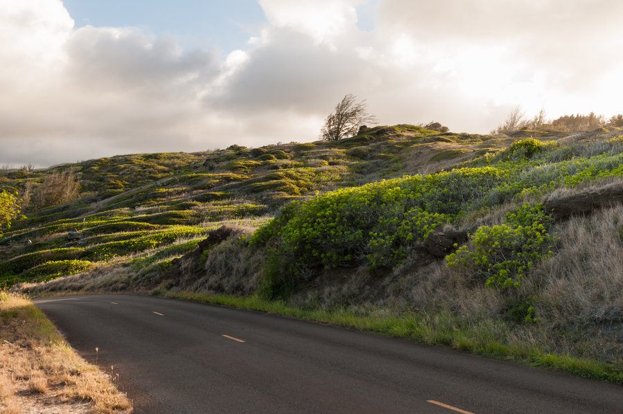 Maui2010_3419