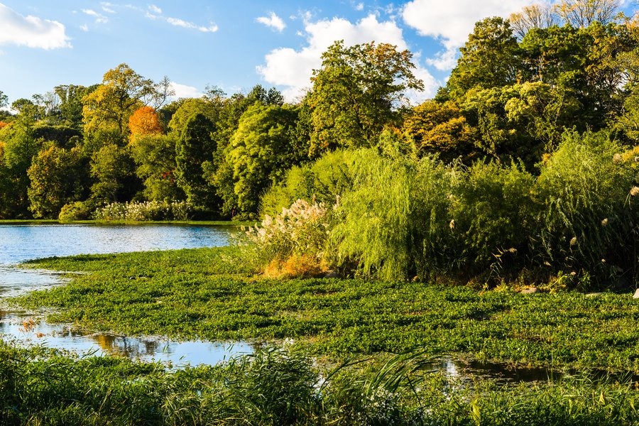 prospectpark2016-_d5a3571