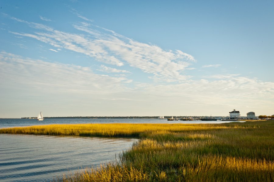 Charleston2013-9735