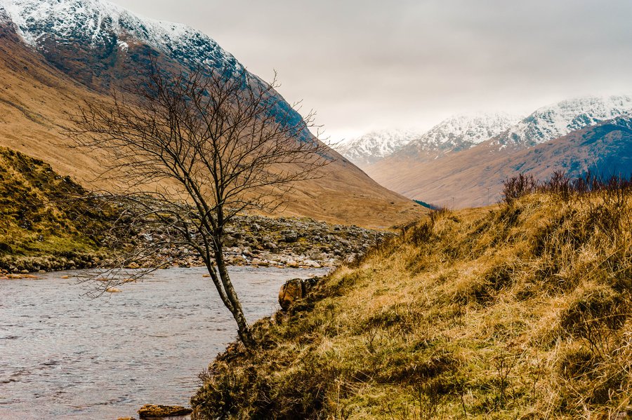 Glencoe2011-3060