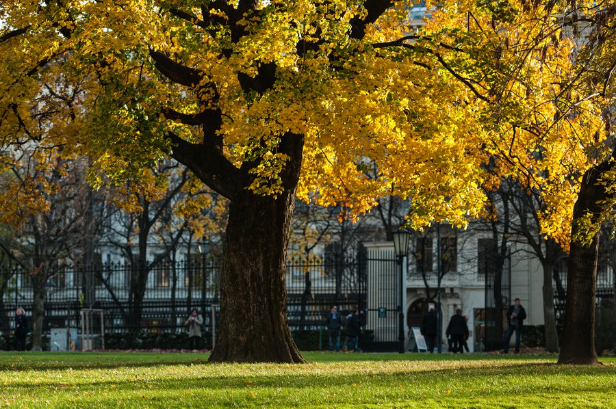 Vienna2010-6295