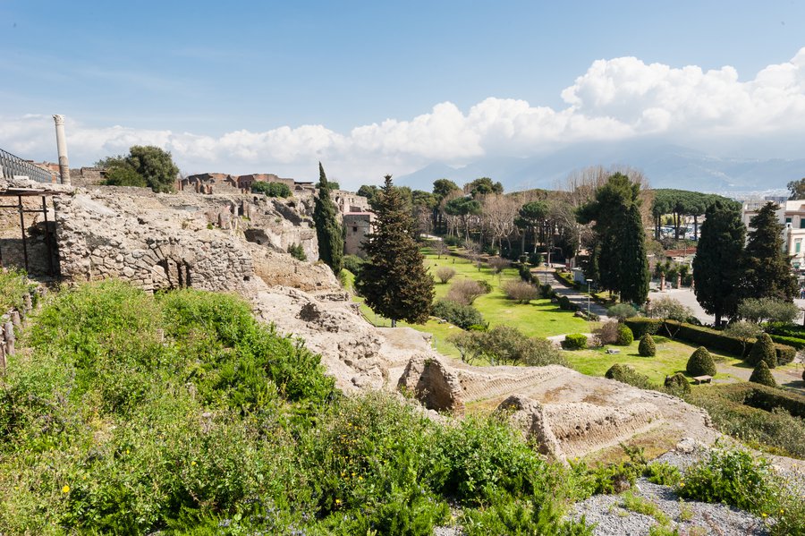 Pompeii2011_4198