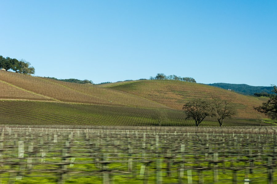 Sonoma-39