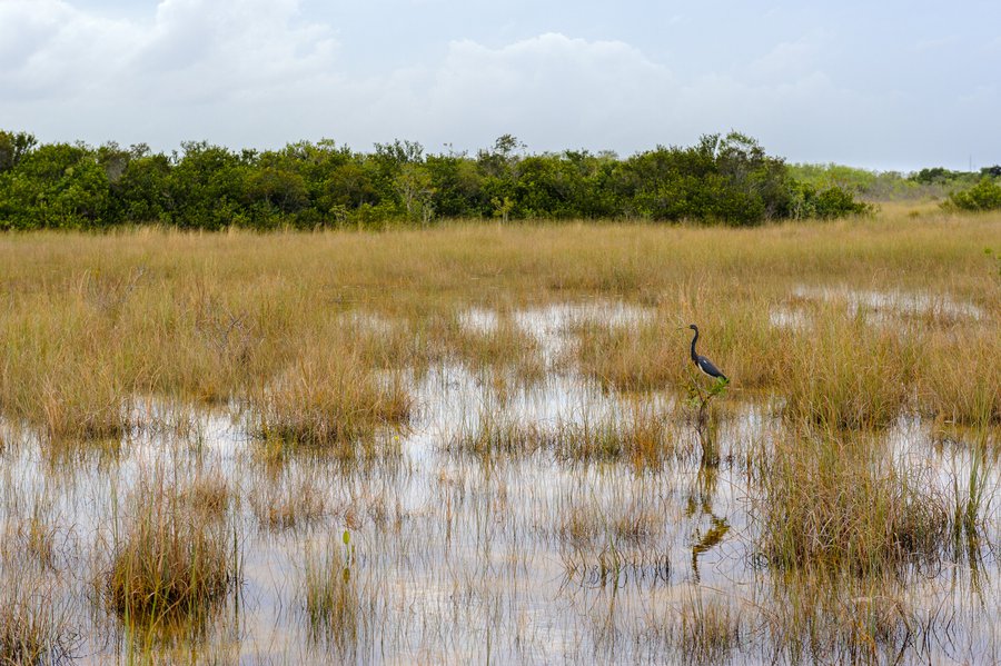 Florida2016-7186