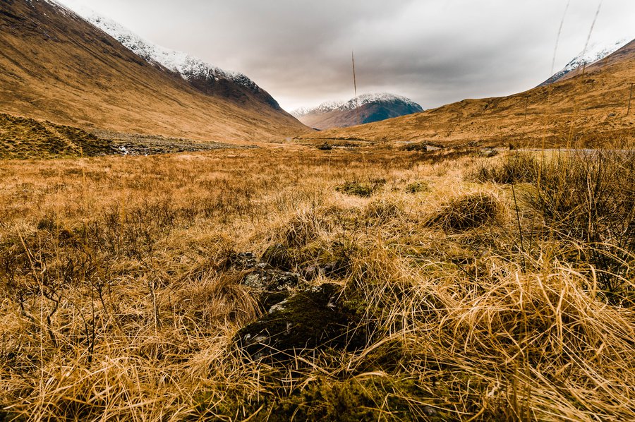 Glencoe2011-9828