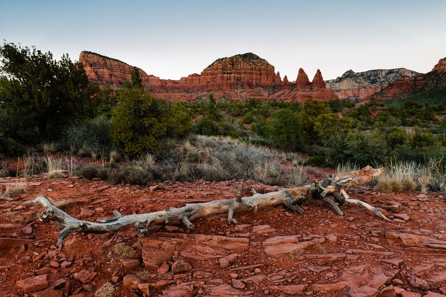 Sedona_4753