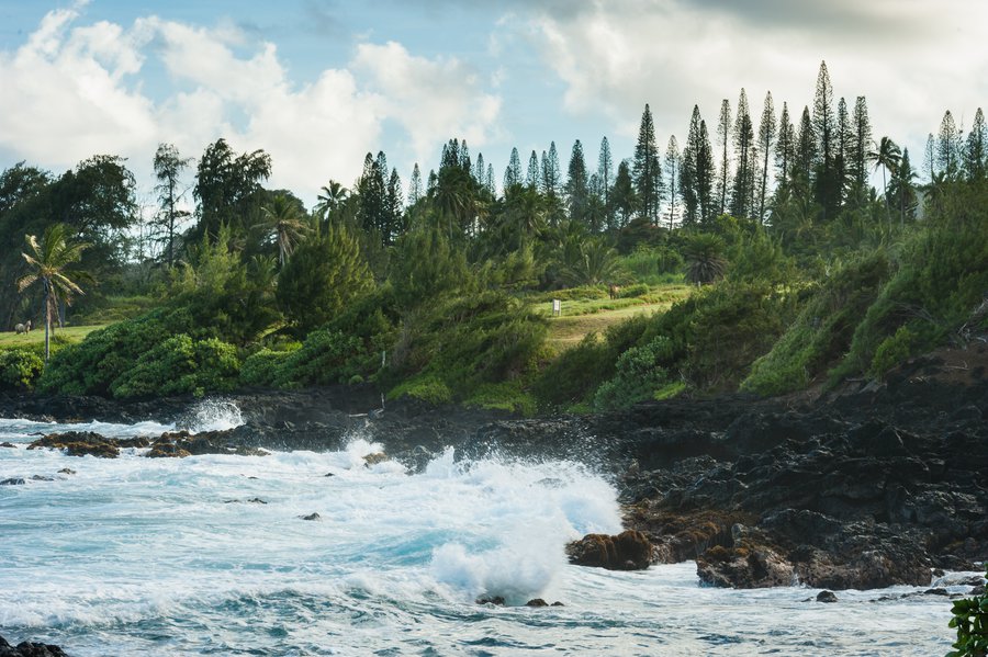 Maui2013_Red Sand-8576