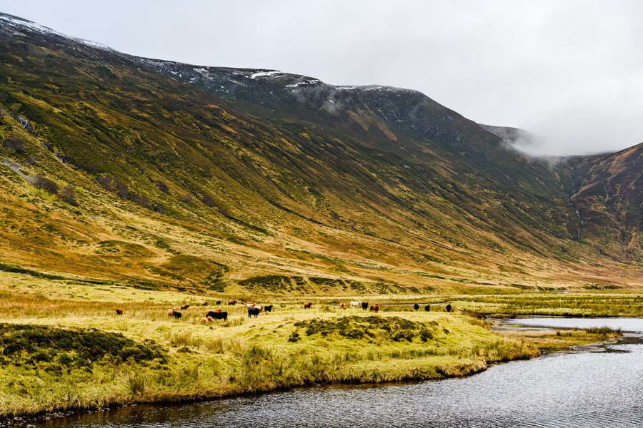 Bonnie scotland hi-res stock photography and images - Alamy