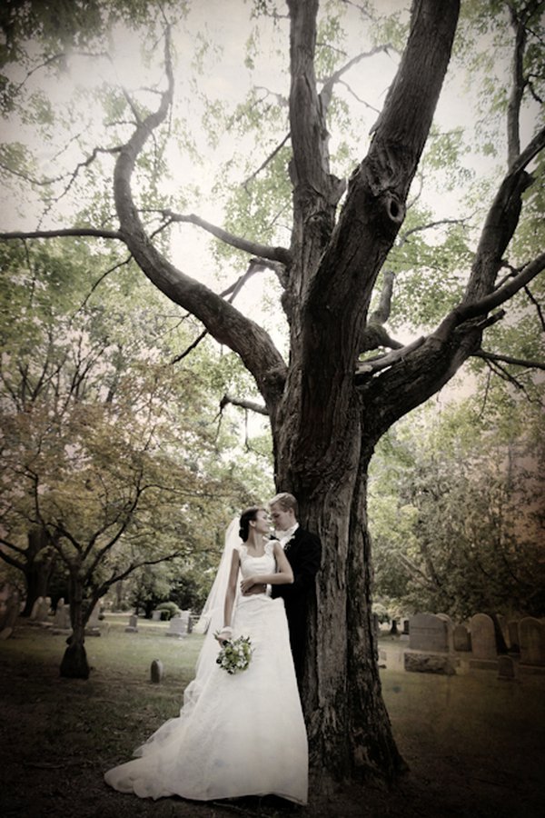 wedding tree