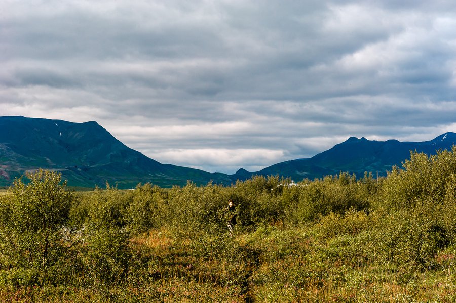 Iceland 2015_8129