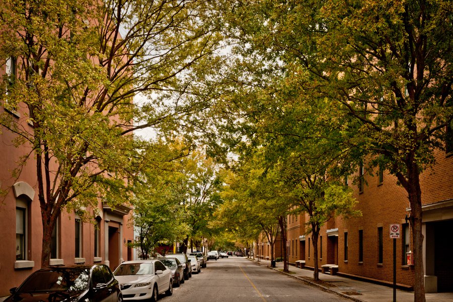 Charleston2013-9510