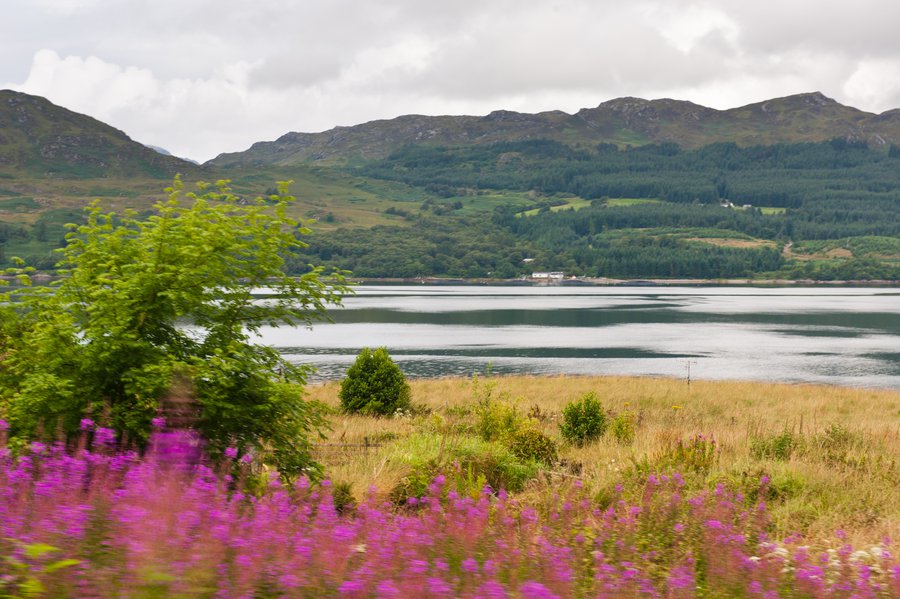 Scotland2014_Trains-27