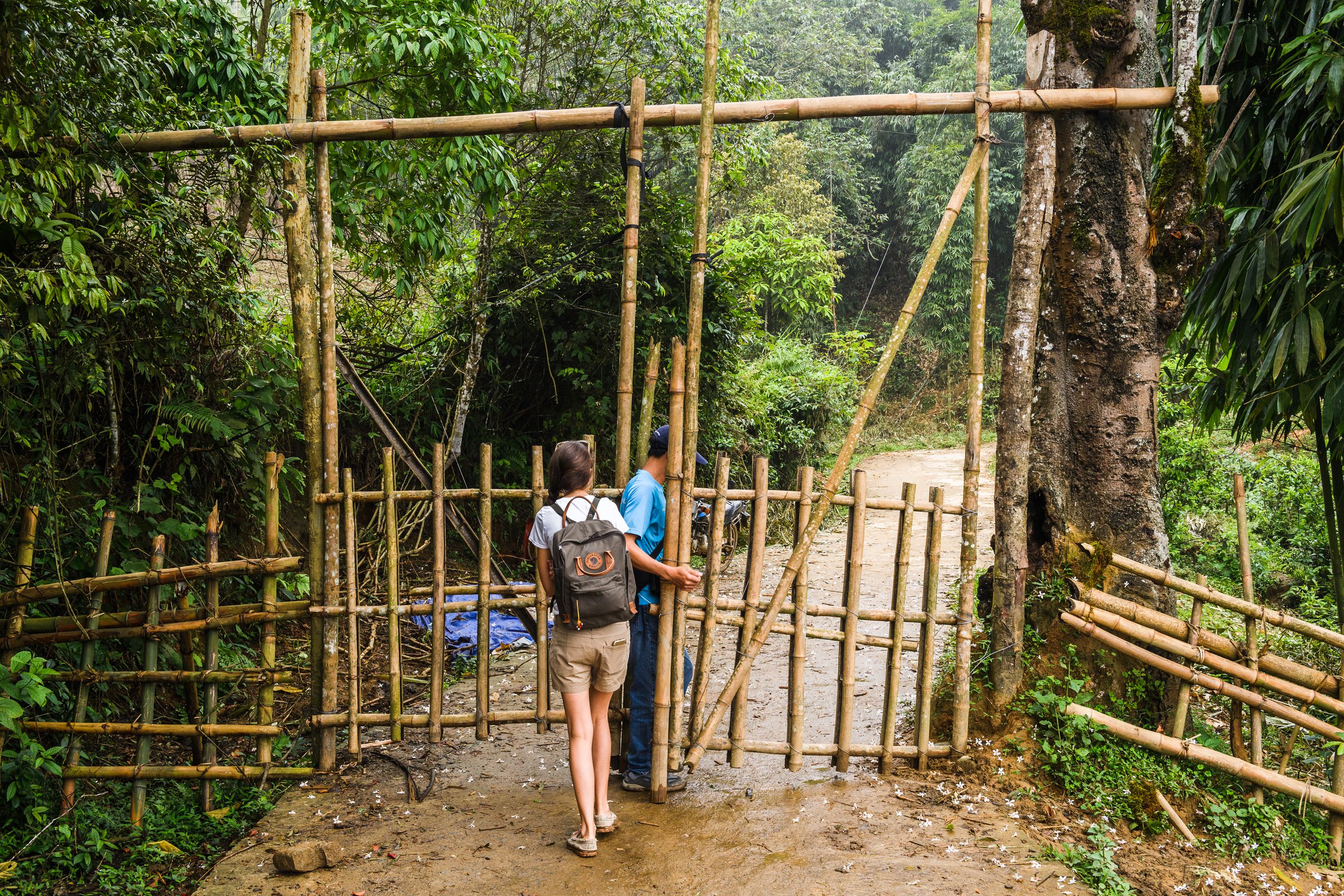 Hoang Lien National Park, Vietnam For Instants
