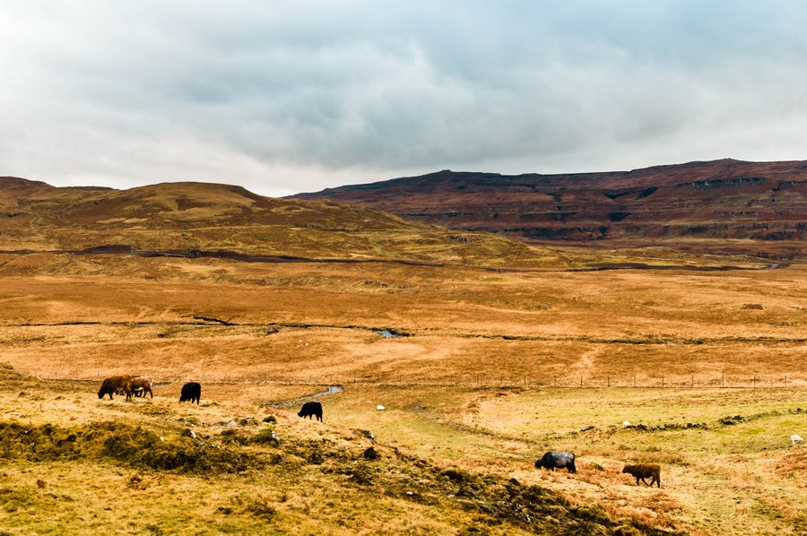 Glencoe2011-9688