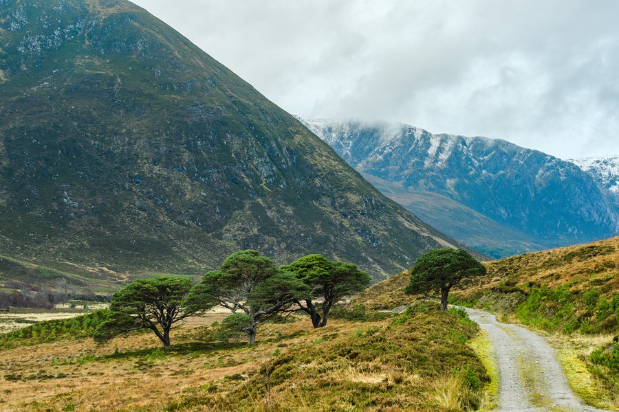 Bonnie scotland hi-res stock photography and images - Alamy