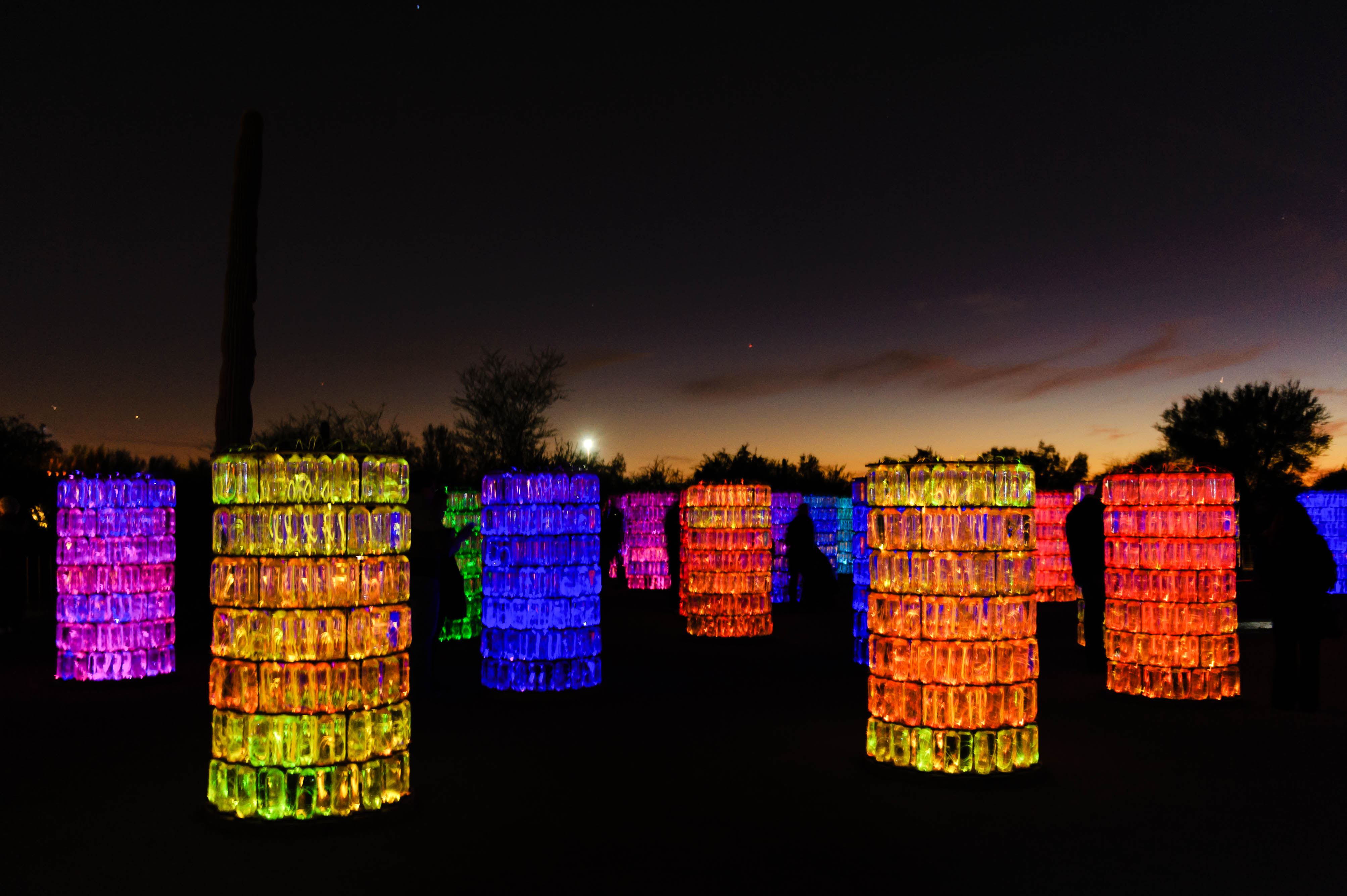 desert botanical garden phoenix for instants